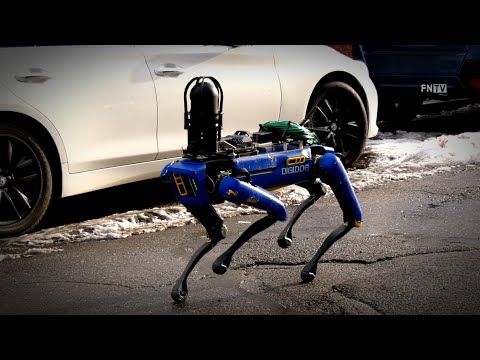 NYPD Robo-Dog &quot;Digidog&quot; Deployed in NYC
