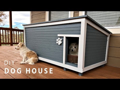 DIY Insulated Dog House Build