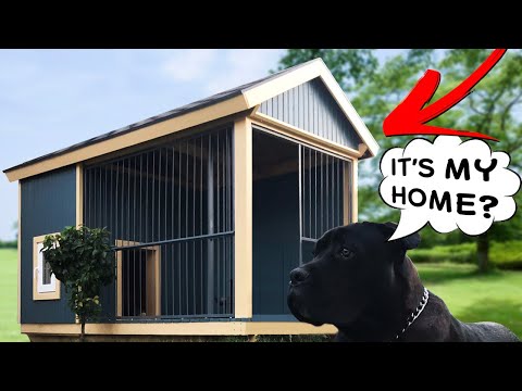 Build Dog House. Timelapse.