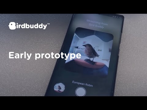 Bird Buddy prototype demo