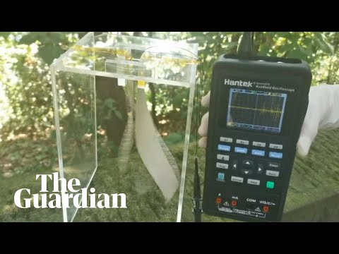 Video shows how triboelectric nanogenerator is applicable in outdoor environment