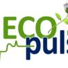 Eco pulse logo