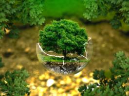drevo in zemlja, varstvo okolja