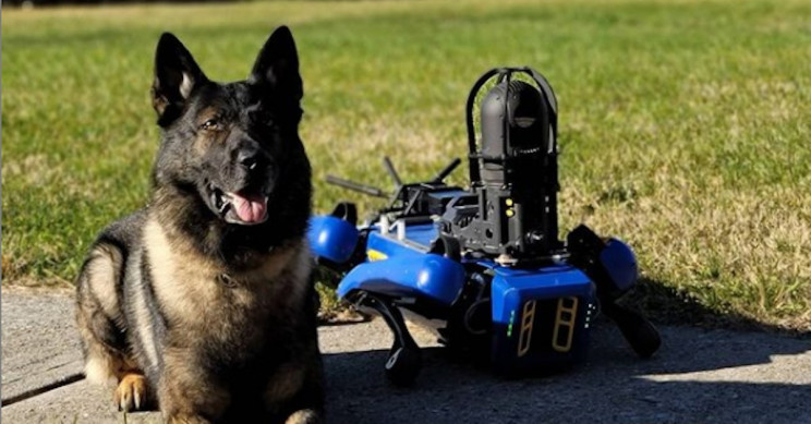 Policijski pes in ob njem policijski robotski pes