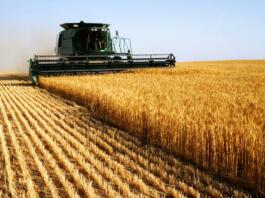 Agrikulturni padec produktivnostne rasti