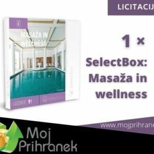 1 x Select Box: Masaža in Wellness - začetna cena 1€!