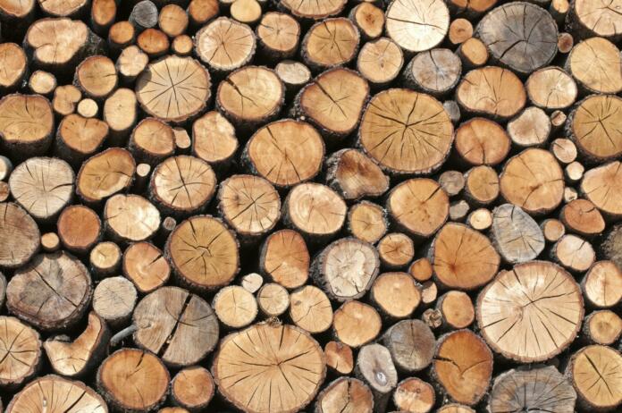 Kampanja za promocijo lesa, njegove uporabe in prednosti