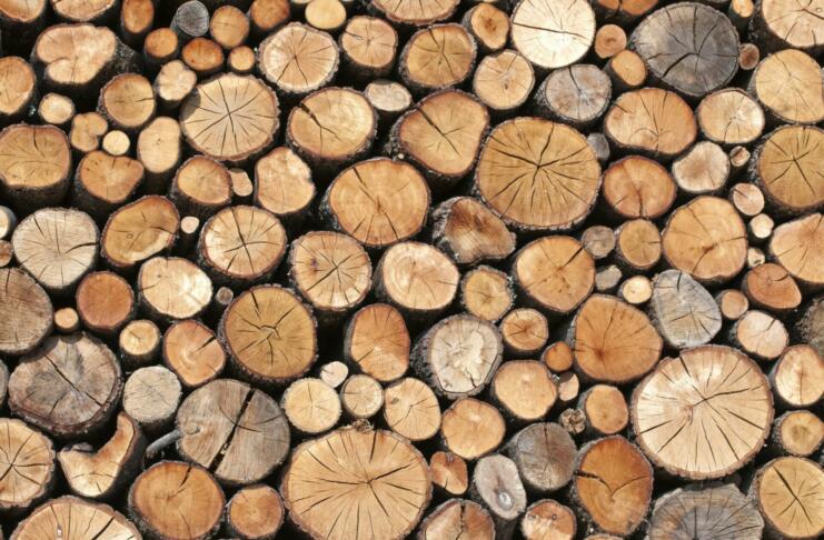 Kampanja za promocijo lesa, njegove uporabe in prednosti