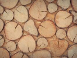 Mikropodjetja v lesarstvu so vabljena k prijavi na nov razpis