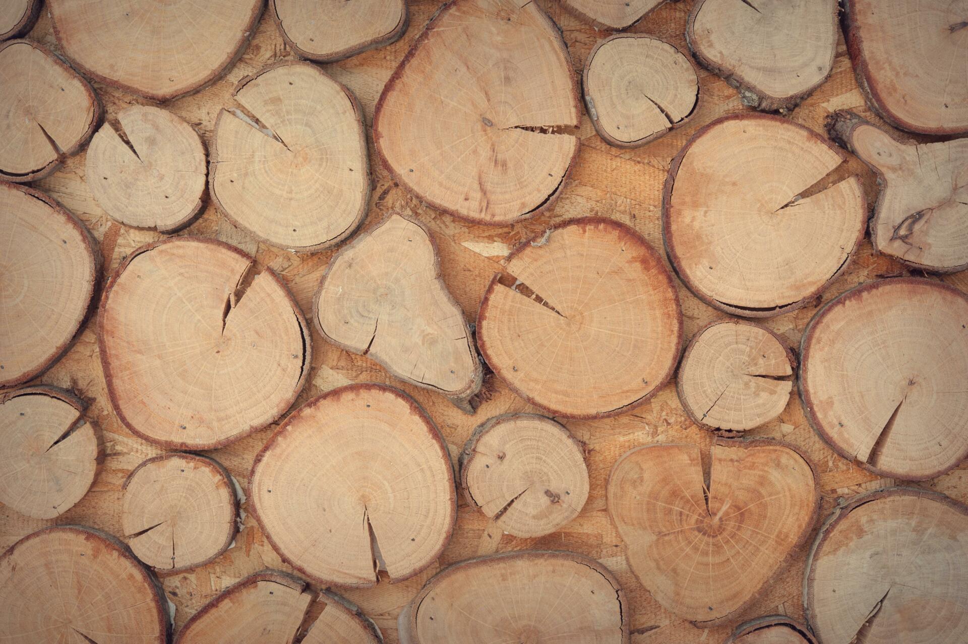 Mikropodjetja v lesarstvu so vabljena k prijavi na nov razpis
