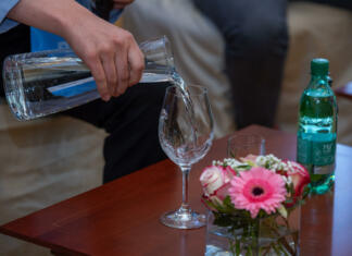 Na Bledu je bila tokrat glavna zvezda »pitna voda« 1