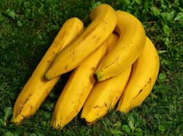 šop banan