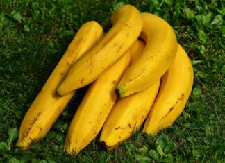 Raziskovalci odkrili, kako upočasniti gnitje (rjavenje) bananine lupine šop banan