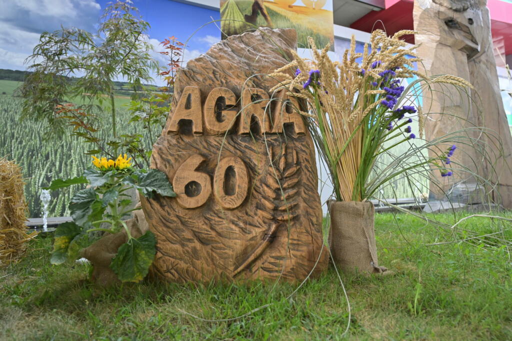 Spomenik z napisom AGRA 60