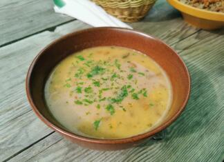 Pod Raduho najdete izvrstno gobovo juho Gobova juha