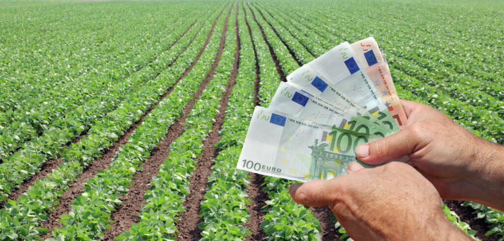 Human hand holding Euro banknote with green cultivated soy field in background