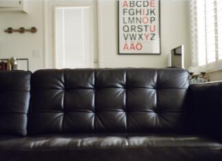 Čiščenje usnja in vzdrževanje usnja Čiščenje usnja