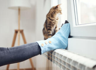 Priprava radiatorjev na ogrevalno sezono Woman's feet with woolen socks, domestic cat, enjoying inside home on the radiator.