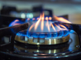 Blue flames on gas stove burner.