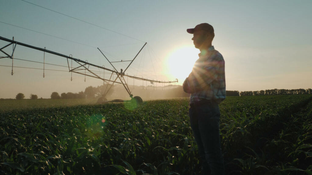 Silhouette of a farmer watching the irrigation of a cornfield using the center pivot sprinkler system at sunset. Watering a cornfield. Camera flies around a man in slow motion