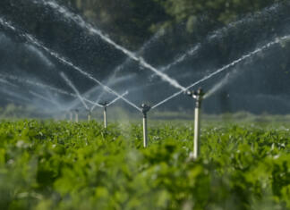 Water sprinklers irrigating a field.