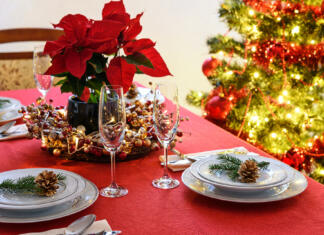 Vzgoja božične zvezde Christmas table decoration concept - champagne glasses, red poinsettia and table setting on a background of colorful Christmas decoration.