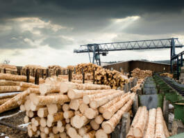 Stacks of logs at sawmill (lumber mill)