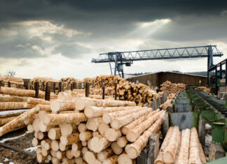 Dodatni milijoni za razpise v predelavi lesa Stacks of logs at sawmill (lumber mill)