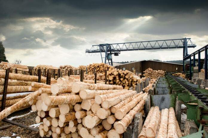 Stacks of logs at sawmill (lumber mill)