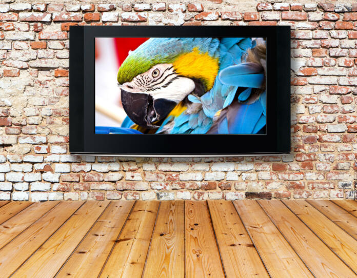 interior with a television set on an old wall