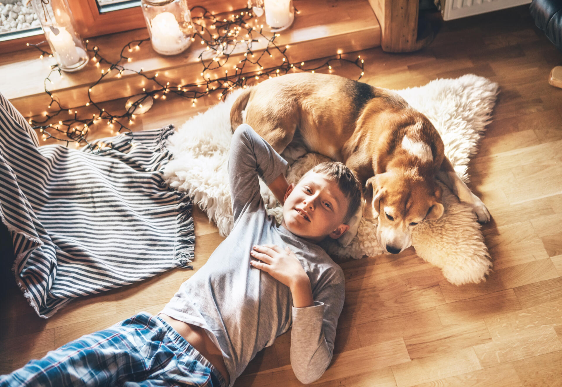 Boy lying on the floor and smiling near slipping his beagle dog on sheepskin in cozy home atmosphere. Peaceful moments of cozy home concept image.