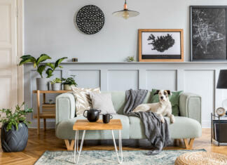 Če imate psa, boste s temi talnimi oblogami najbolj zadovoljni Stylish interior design of living room with modern furniture, decoration and elegant accessories in home decor.