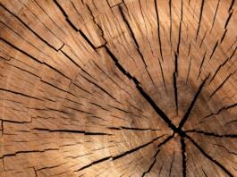 lumber, log, wood