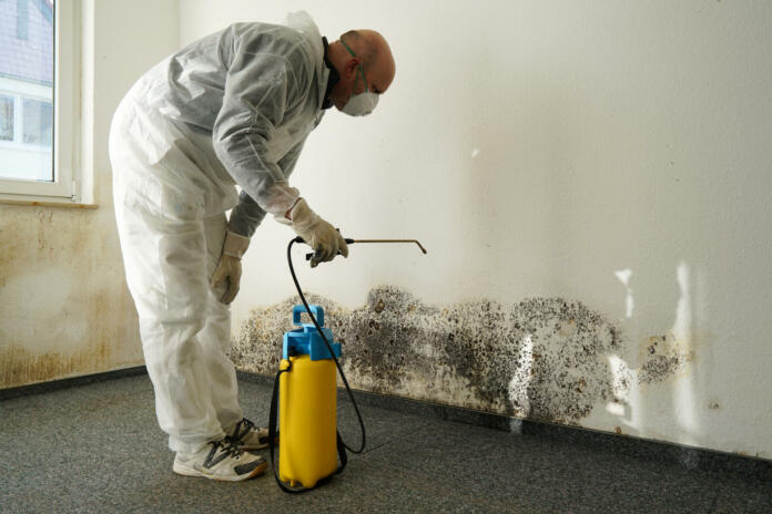 Specialist in combating mold in an apartment