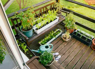 Various potted herbs and plants growing on home wood balcony in summer, small vegetable garden concept.