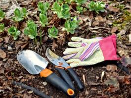 Yard clean up after winter, clearing up mulch and garden debris for seasonal growth. Photo background, landscaping work. Lifestyle hobbies