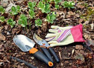 Priprava vrta na novo sezono Yard clean up after winter, clearing up mulch and garden debris for seasonal growth. Photo background, landscaping work. Lifestyle hobbies