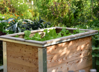 Izdelava visoke grede: prednosti, slabosti in postopek izdelave Izdelava visoke grede