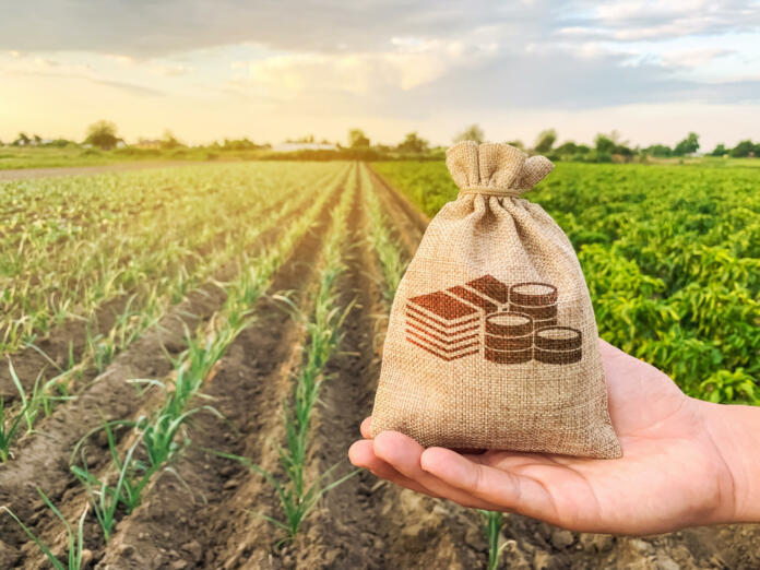 The farmer holds a money bag on the background of plantations. Lending and subsidizing farmers. Grants and support. Profit from agribusiness. Land value and rent. Taxes taxation. Agricultural startups