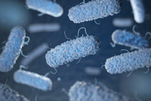 Mikroskopska slika bakterij.