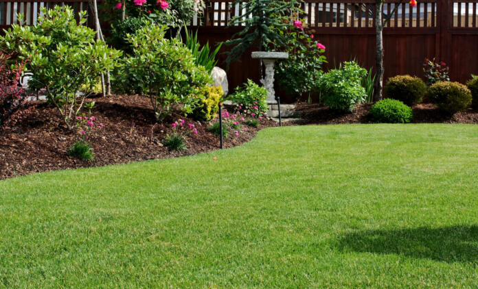 Freshly mowed garden lawn grass area surrounded by flowerbeds planted with shrubs and bushes and border plants in bloom during springtime season on a sunny day.