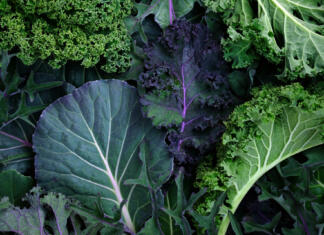 Kako enostavno in učinkovito odstraniti pesticide in nečistoče iz listnate zelenjave Zelena zelenjava na kupu.