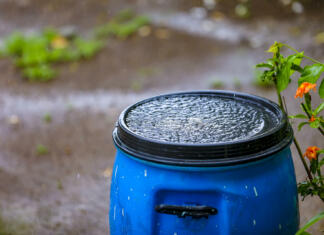Zbiranje deževnice v 5 korakih rain water falling in plastic tank