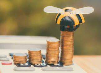Razpis za čebelarje 2023: Trije razpisi za čebelarje v višini pol milijona evrov Savings, Growing coins and calculator on wood table with bee toy on green tree bokeh background vintage tone. business finance wealth and success concept.