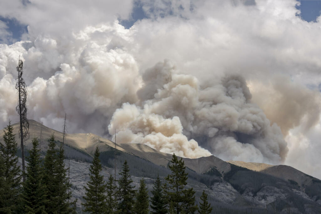 Burning forest fire in British Columbia in Kootenay National Park
