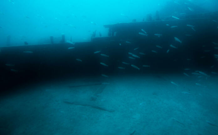 Into the abyss, deep blue sea background.