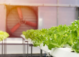 Prezračevalni ventilatorji so ključnega pomena large fan air flow ventilator and cooling system in greenhouse for hydroponic agriculture lettuce farm