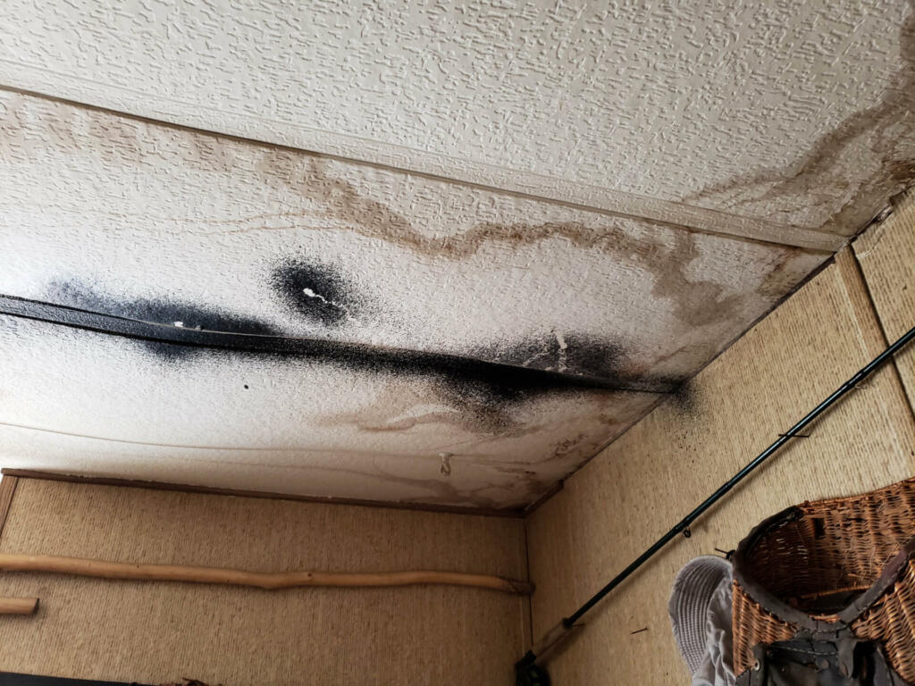 Mold and water damage on the ceiling tile of a home.
