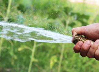 Huda vročina in trava: kako poskrbeti, da ostane trava lepa? water, hose, garden