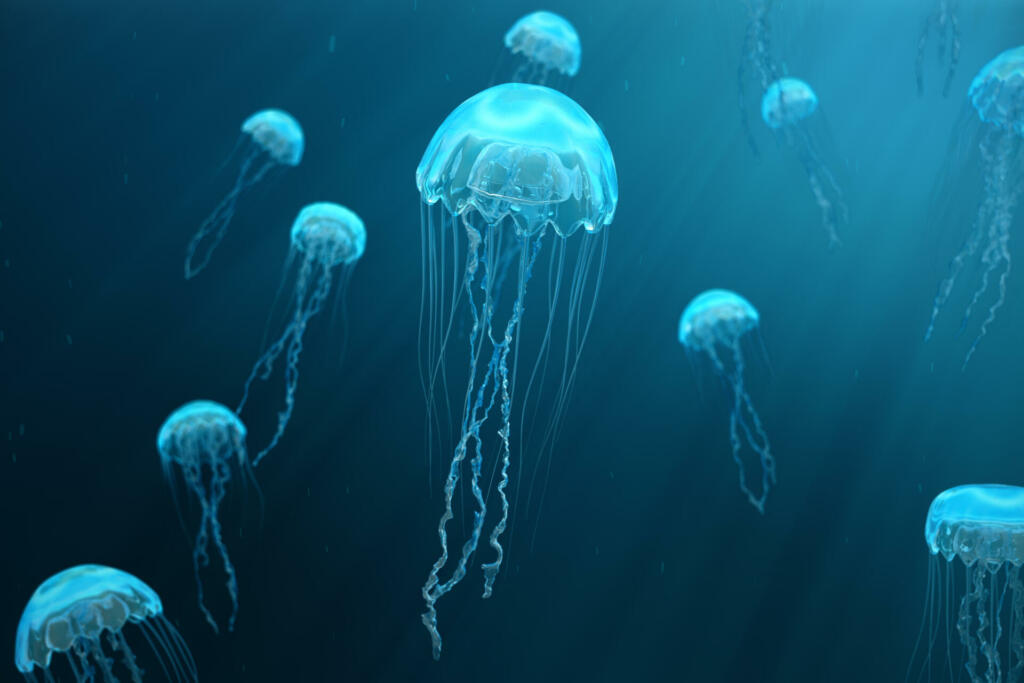 3D illustration background of jellyfish. Jellyfish swims in the ocean sea, light passes through the water, creating the effect of volume-rays. Dangerous blue jellyfish